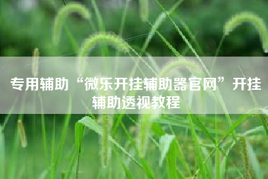专用辅助“微乐开挂辅助器官网”开挂辅助透视教程
