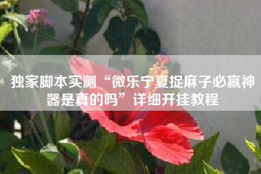 独家脚本实测“微乐宁夏捉麻子必赢神器是真的吗”详细开挂教程