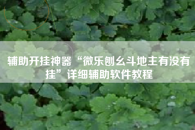 辅助开挂神器“微乐刨幺斗地主有没有挂	”详细辅助软件教程