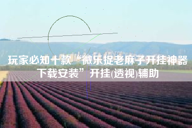 玩家必知十款“微乐捉老麻子开挂神器下载安装”开挂(透视)辅助