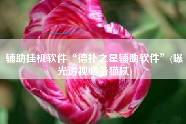 辅助挂机软件“德扑之星辅助软件”(曝光透视必备猫腻)