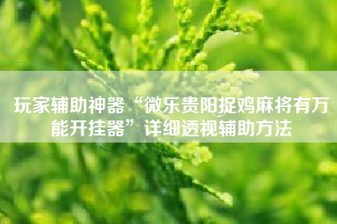 玩家辅助神器“微乐贵阳捉鸡麻将有万能开挂器	”详细透视辅助方法
