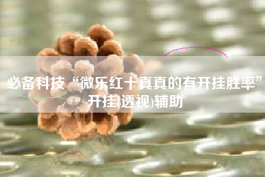 必备科技“微乐红十真真的有开挂胜率”开挂(透视)辅助