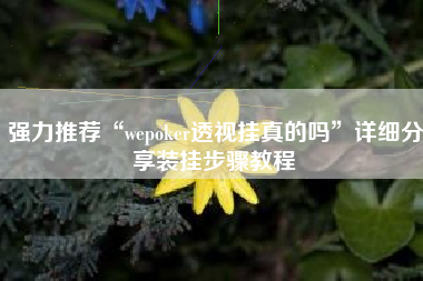 强力推荐“wepoker透视挂真的吗”详细分享装挂步骤教程