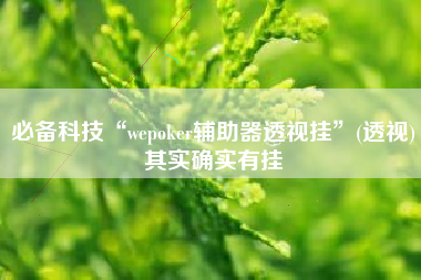 必备科技“wepoker辅助器透视挂	”(透视)其实确实有挂