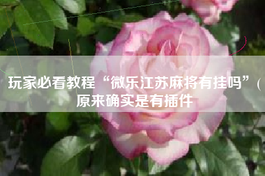 玩家必看教程“微乐江苏麻将有挂吗	”(原来确实是有插件