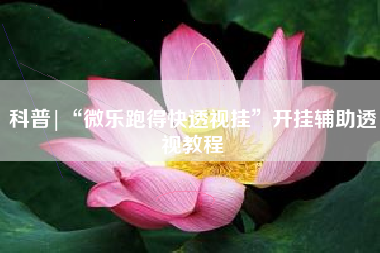 科普|“微乐跑得快透视挂”开挂辅助透视教程