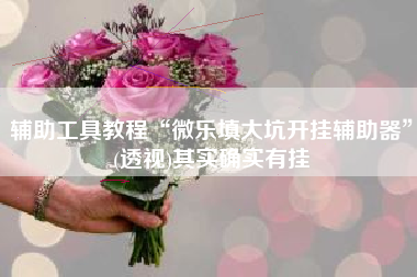 辅助工具教程“微乐填大坑开挂辅助器	”(透视)其实确实有挂