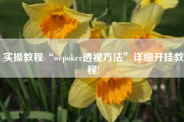 实操教程“wepoker透视方法”详细开挂教程!