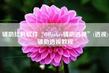 辅助挂机软件“HHpoker辅助透视	”(透视)辅助透视教程