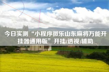 今日实测“小程序微乐山东麻将万能开挂器通用版”开挂(透视)辅助