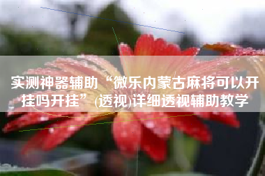 实测神器辅助“微乐内蒙古麻将可以开挂吗开挂”(透视)详细透视辅助教学