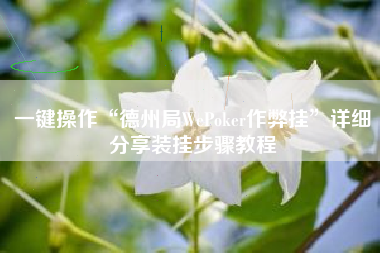一键操作“德州局WePoker作弊挂	”详细分享装挂步骤教程
