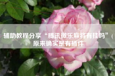 辅助教程分享“腾讯微乐麻将有挂吗”(原来确实是有插件