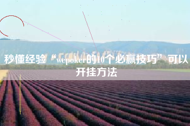 秒懂经验“wepoker的10个必赢技巧”可以开挂方法