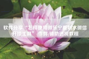 软件分享“怎样使用微乐宁夏划水微信开挂工具	”(作弊)辅助透视教程