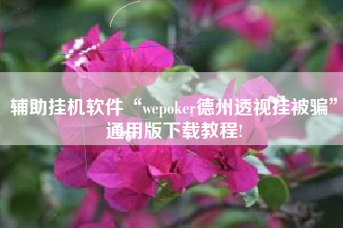 辅助挂机软件“wepoker德州透视挂被骗	”通用版下载教程!