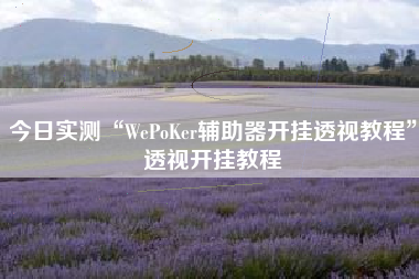 今日实测“WePoKer辅助器开挂透视教程”透视开挂教程