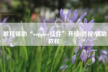教程辅助“wepoker挂件	”开挂(透视)辅助教程!