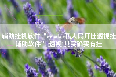 辅助挂机软件“wepoker私人局开挂透视挂辅助软件	”(透视)其实确实有挂