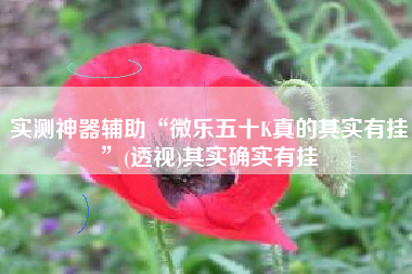 实测神器辅助“微乐五十K真的其实有挂	”(透视)其实确实有挂