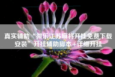 真实辅助“微乐江苏麻将开挂免费下载安装”开挂辅助脚本+详细开挂