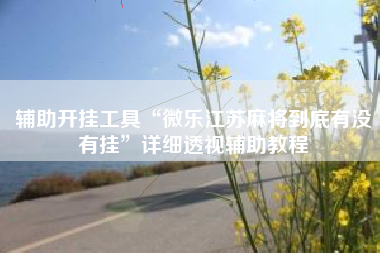 辅助开挂工具“微乐江苏麻将到底有没有挂”详细透视辅助教程