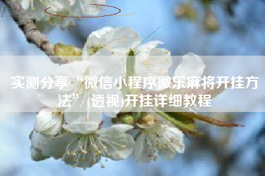 实测分享“微信小程序微乐麻将开挂方法”(透视)开挂详细教程