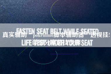 真实辅助“pokemmo脚本辅助器”透视挂!详细分享装挂步骤