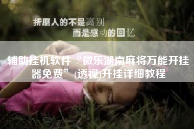 辅助挂机软件“微乐湖南麻将万能开挂器免费”(透视)开挂详细教程