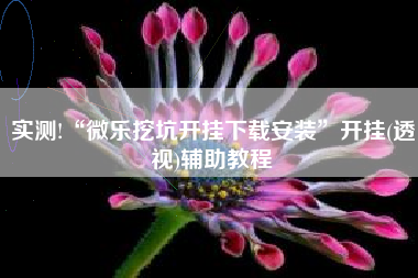 实测!“微乐挖坑开挂下载安装”开挂(透视)辅助教程