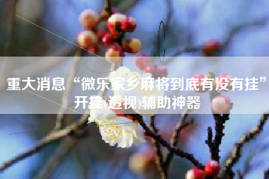 重大消息“微乐家乡麻将到底有没有挂”开挂(透视)辅助神器