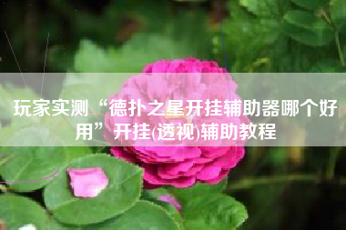 玩家实测“德扑之星开挂辅助器哪个好用”开挂(透视)辅助教程