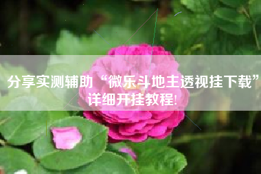 分享实测辅助“微乐斗地主透视挂下载”详细开挂教程!