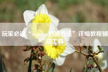 玩家必读“wepoker透视方法”详细教程辅助工具