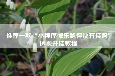 推荐一款“小程序微乐跑得快有挂吗	”透视开挂教程