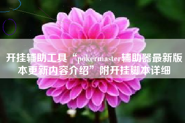 开挂辅助工具“pokermaster辅助器最新版本更新内容介绍	”附开挂脚本详细