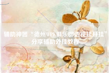 辅助神器“德州WPK俱乐部透视挂开挂	”分享辅助外挂教程