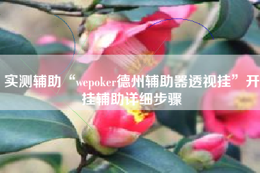 实测辅助“wepoker德州辅助器透视挂	”开挂辅助详细步骤