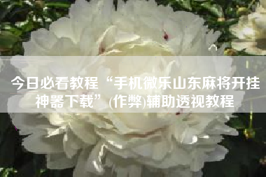 今日必看教程“手机微乐山东麻将开挂神器下载”(作弊)辅助透视教程