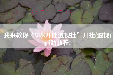 我来教你“WPK开挂透视挂	”开挂(透视)辅助教程!