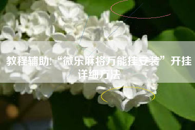 教程辅助!“微乐麻将万能挂安装	”开挂详细方法