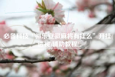 必备科技“微乐安徽麻将有挂么	”开挂(透视)辅助教程!