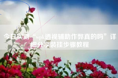 今日实测“wpk透视辅助作弊真的吗”详细分享装挂步骤教程