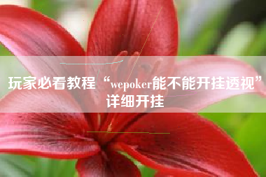 玩家必看教程“wepoker能不能开挂透视”详细开挂