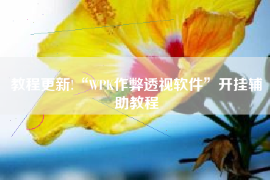 教程更新!“WPK作弊透视软件”开挂辅助教程