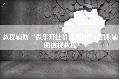 教程辅助“微乐开挂价格揭秘”(透视)辅助透视教程