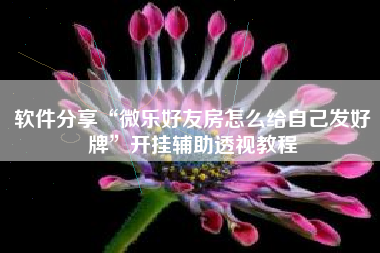 软件分享“微乐好友房怎么给自己发好牌”开挂辅助透视教程