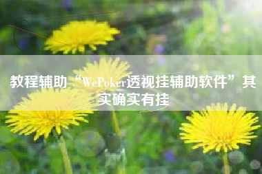 教程辅助“WePoker透视挂辅助软件	”其实确实有挂