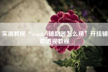 实测教程“wepoker辅助器怎么用	”开挂辅助透视教程